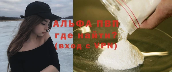 индика Михайлов