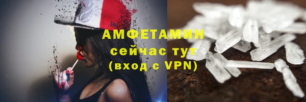 индика Михайлов