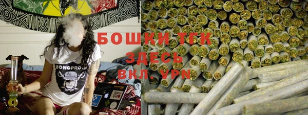 индика Михайлов