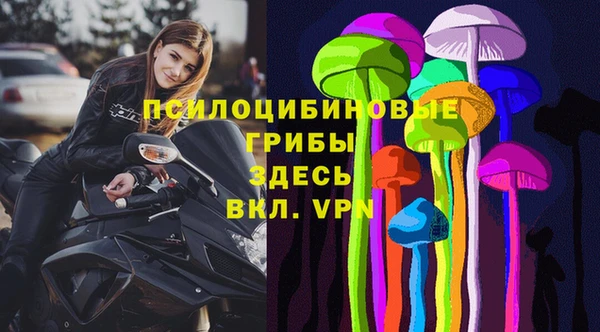 индика Михайлов