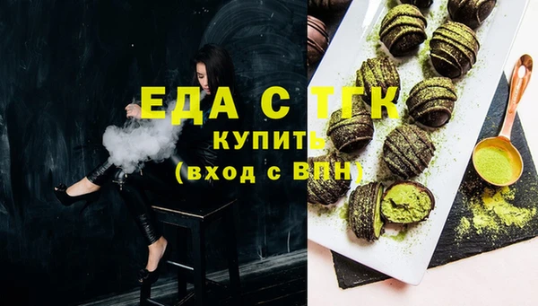индика Михайлов
