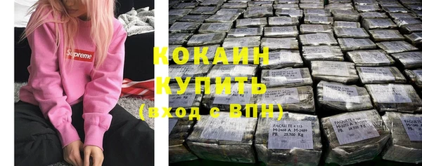 индика Михайлов