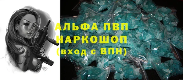 индика Михайлов
