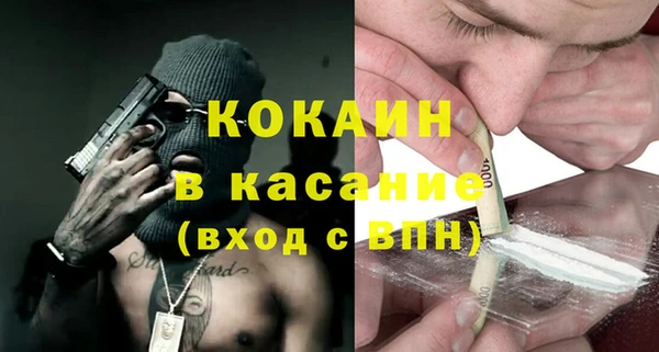 индика Михайлов