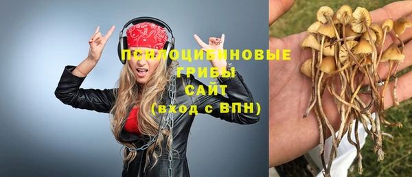 индика Михайлов