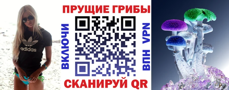 Купить где  Кириши  Галлюциногенные грибы мухоморы 