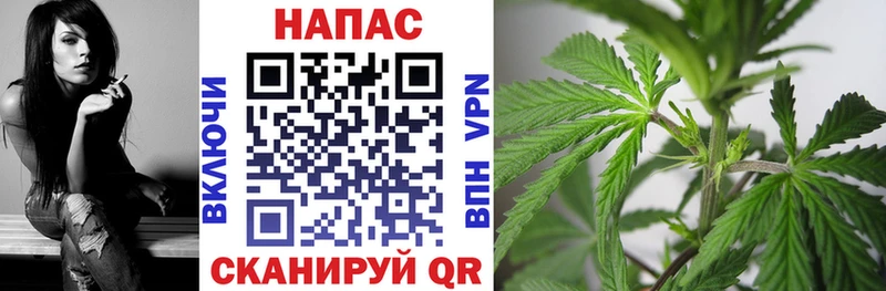 Купить закладки  Кириши  Марихуана AK-47 